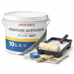 Peinture Acrylique Intérieure Blanc Mat 10 L