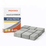Pavé Extérieur Béton Prestige 6 cm